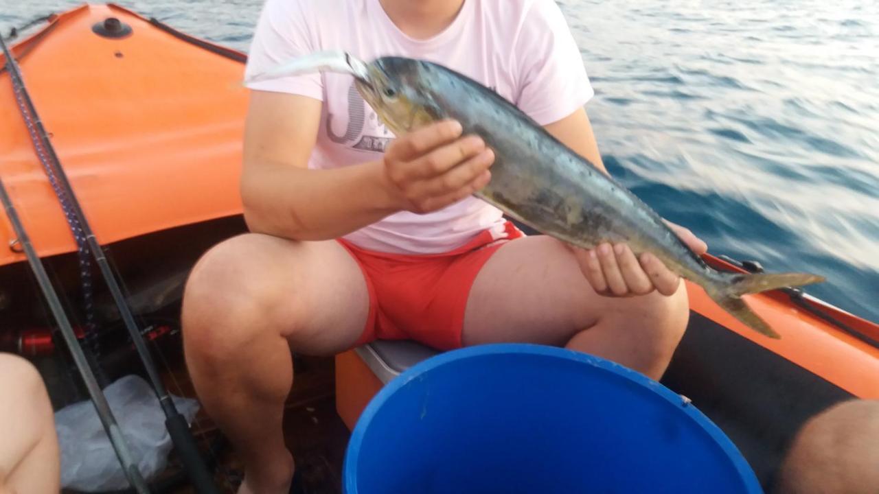 Darinka Aparthotel Ulcinj Exteriör bild